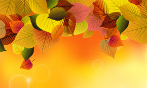 Autumn Background with Leaves